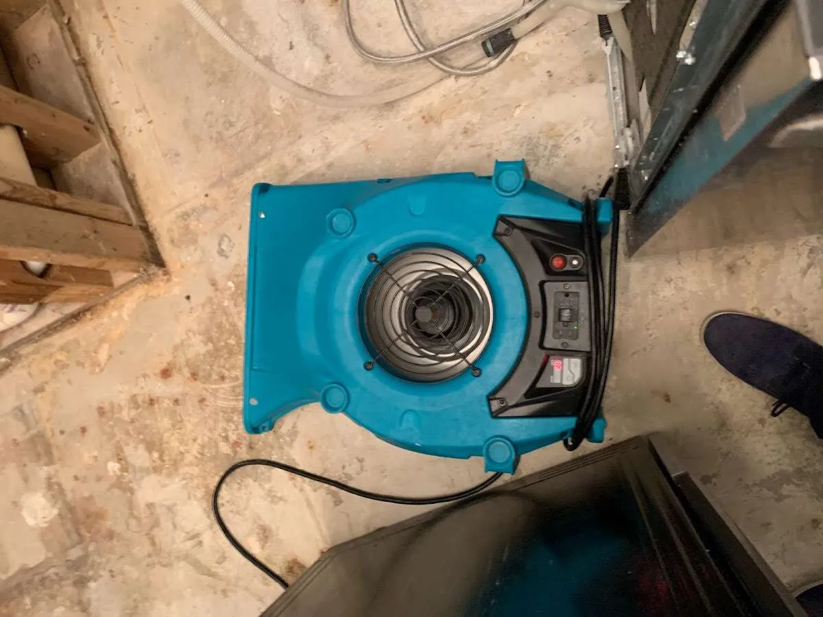 Air mover drying equipment for Mold Remediation & Removal in Muscoy
